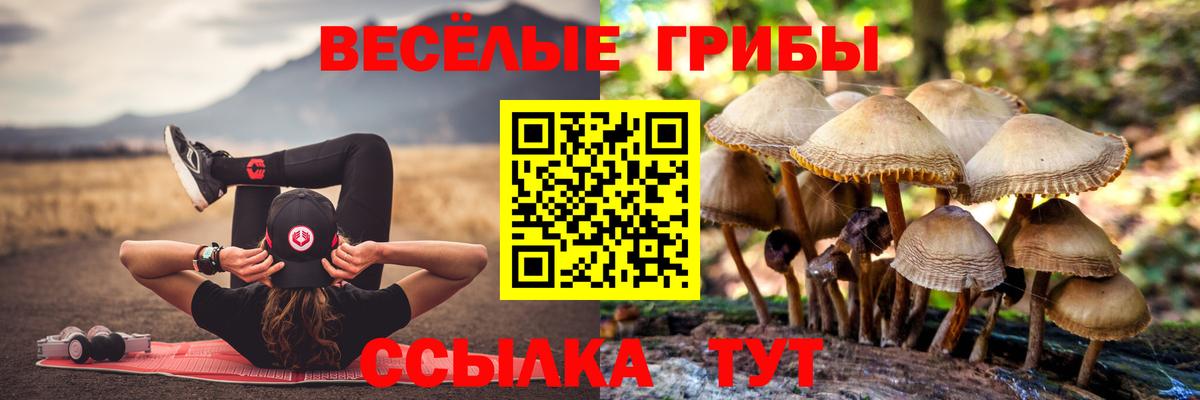 Горячий Ключ  дарнет шоп  Вход с VPN  Псилоцибиновые грибы мицелий 