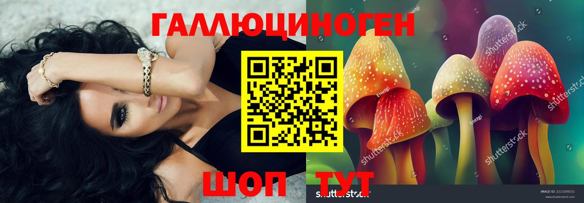 Псилоцибиновые грибы Cubensis Горячий Ключ